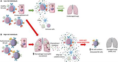 Flattening the COVID-19 Curve With Natural Killer Cell Based Immunotherapies